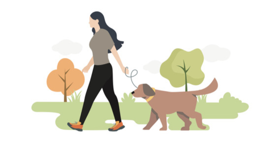 cartoon graphic of woman walking a dog