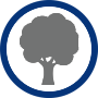 Tree Icon