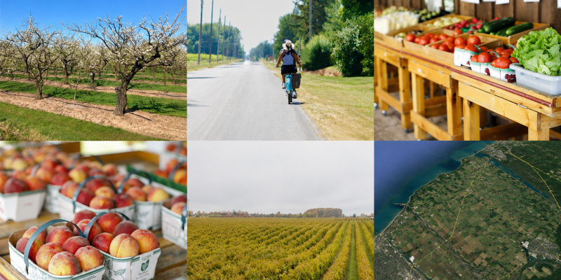 Town Images of Agricultural Lands, Aerial Imagery of the Town, Person Riding a Bike, and Farm Markets