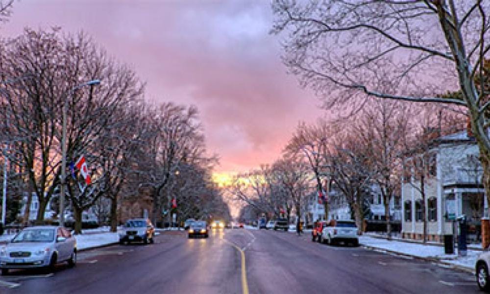 Street in the winter