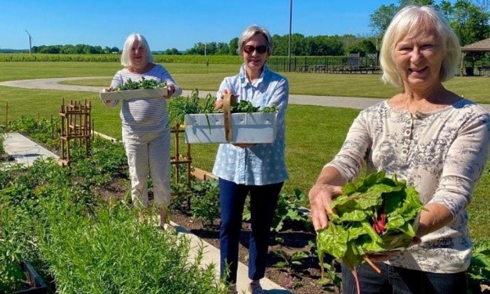 Three women working in a community garden