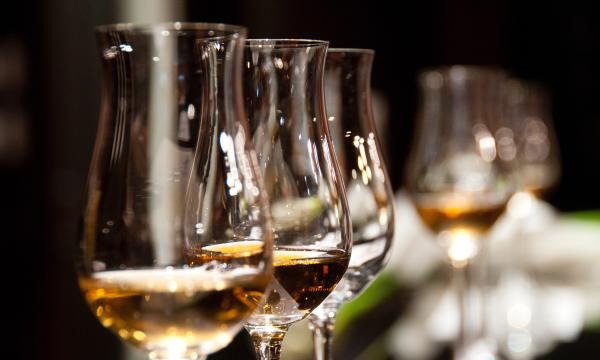 Wine glasses at wine tasting