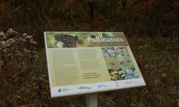 Sign demonstrating a Pollinator Garden