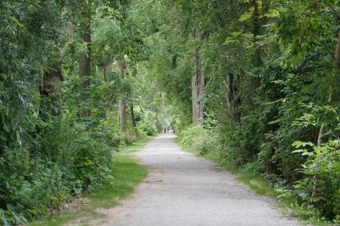 Image of Heritage Trail. 
