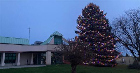 A lit up christmas tree in front of town hall