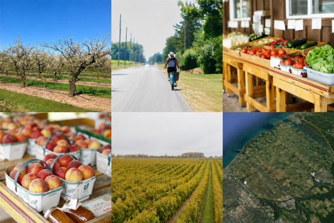 Town Images of Agricultural Lands, Aerial Imagery of the Town, Person Riding a Bike, and Farm Markets