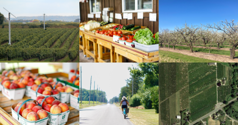 Farms and local agriculture