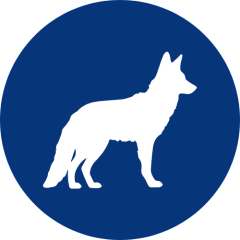 Coyote Icon