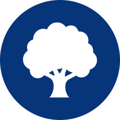 Tree Icon